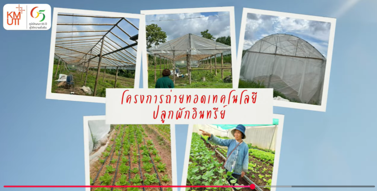 นี่ไม่ใช่แค่การปลูกผักแต่นี่คือการ “ปลูกอนาคต” ให้ป่าต้นน้ำและชุมชน